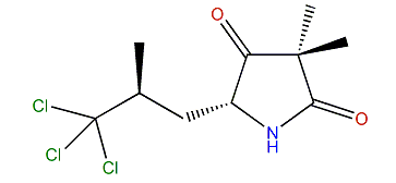 Dysidamide G
